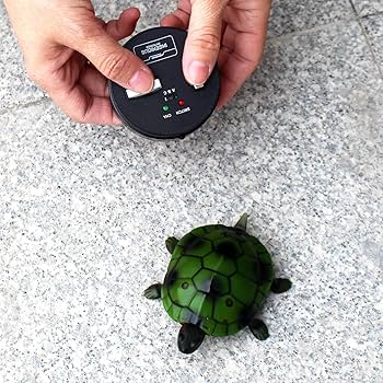 カメ型引っ張りおもちゃ Amazon.co.jp: Tipmant RCタートルリモコン亀リアルな電気動物